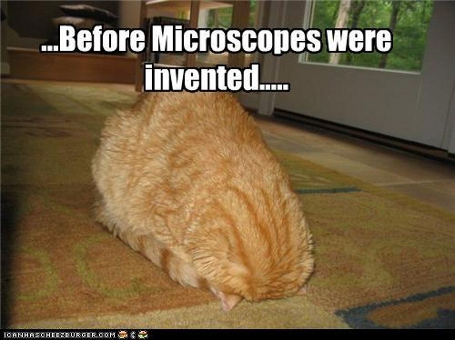 Before microscopes